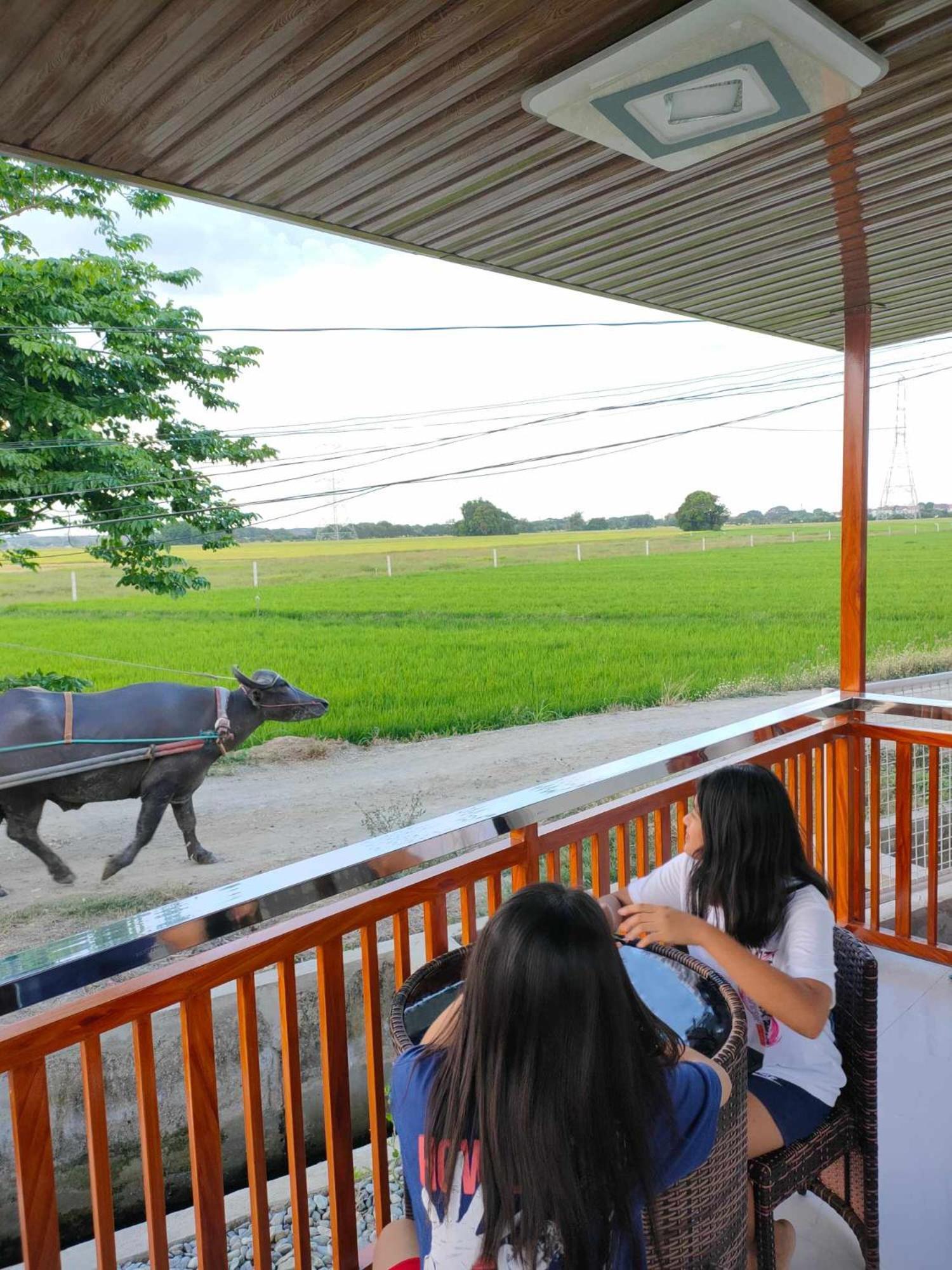 Praise Farmhouse - Private Farmhouse Staycation Baliuag ภายนอก รูปภาพ